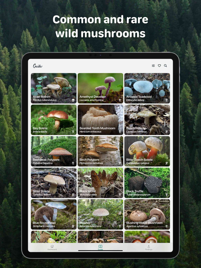 Rostou - Mushroom Guide