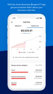 amex business blueprint™ iphone screenshot 4