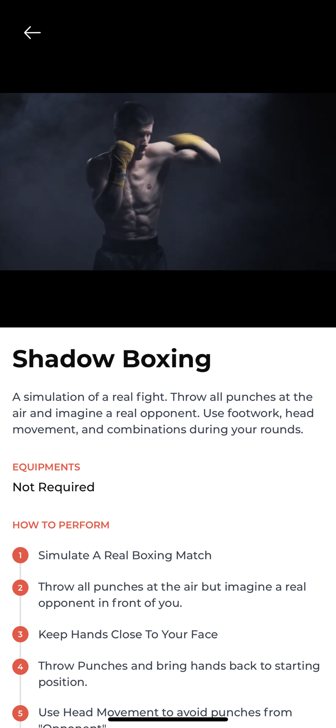 Boxing Training Camp