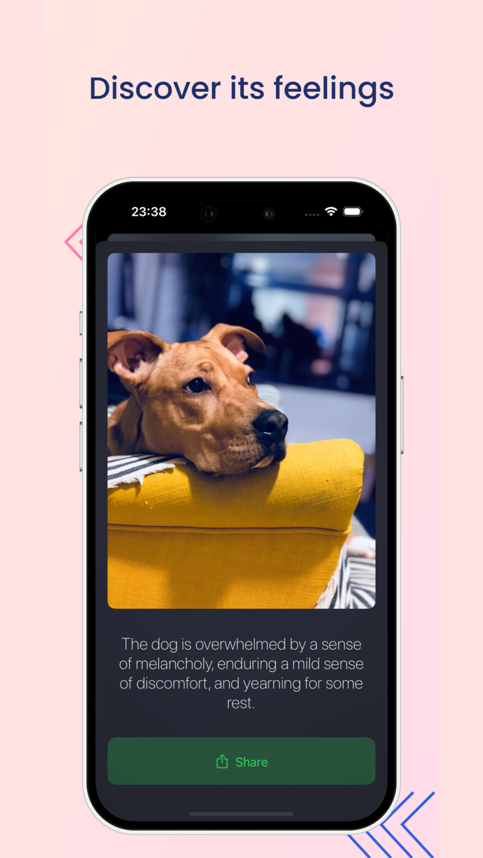 Pet Mood AI Emotion Detection