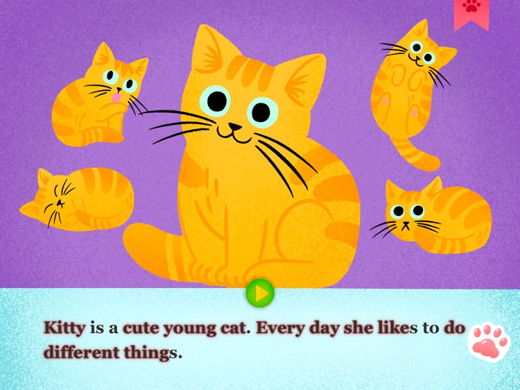 A Day in Kittys Life