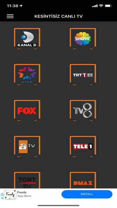 Screenshot #1 pour Kesintisiz Canli TV