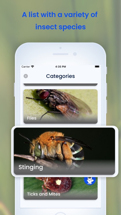 Insect ID: Bug AI screenshot-6