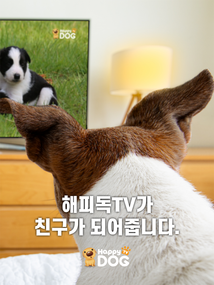 해피독Happy Dog - 우리아이 돌봄 서비스