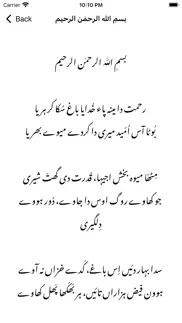 sufi poetry saif ul malook problems & solutions and troubleshooting guide - 2