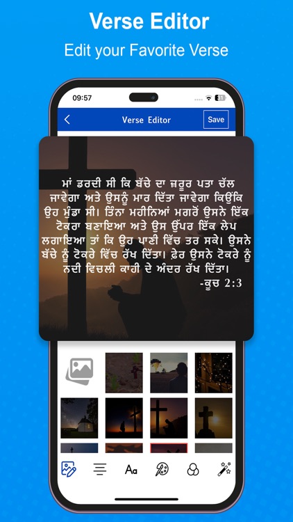 The Punjabi Bible