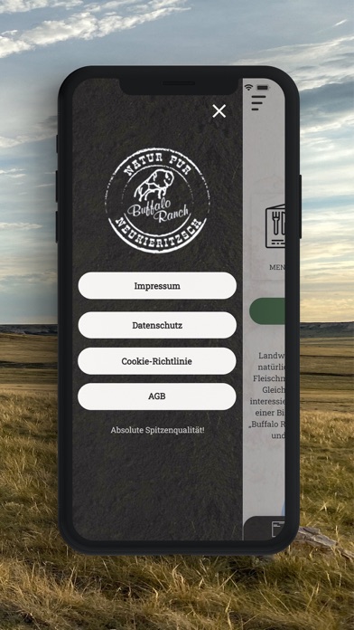 Buffalo Ranch Screenshot