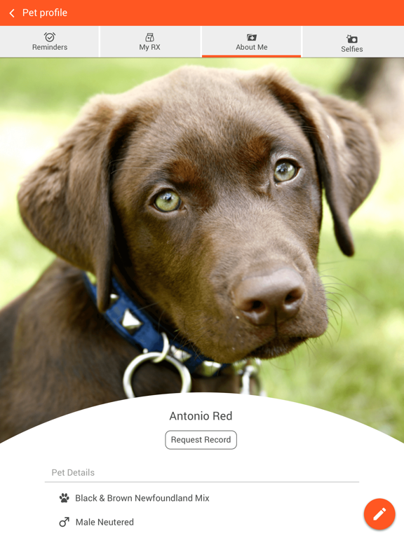 HappyTailsVet iPad screenshot 3 - Business app