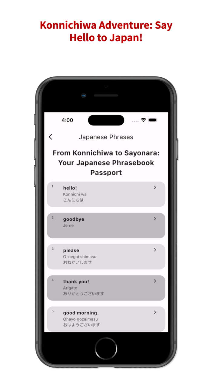 Pocket Japan Guide to Japan