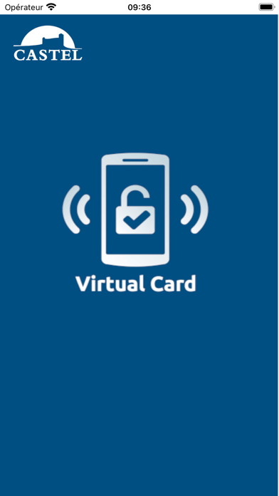 Castel Virtual Card Screenshot