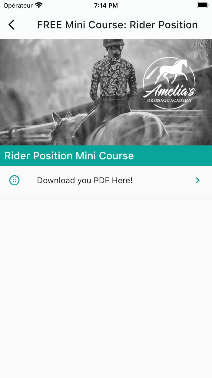 Amelias Dressage Academy
