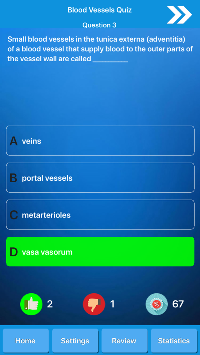 Circulatory System Anatomy