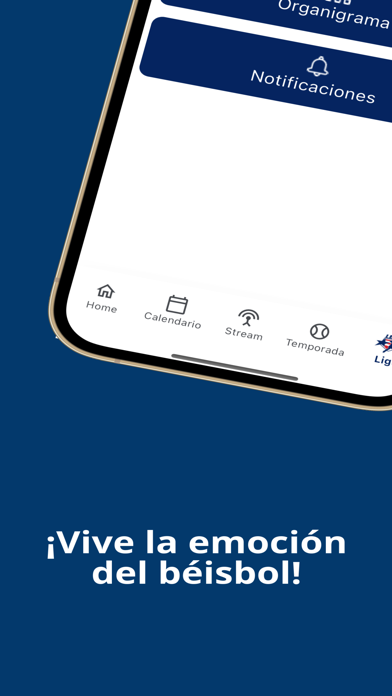 Liga Doble A Screenshot