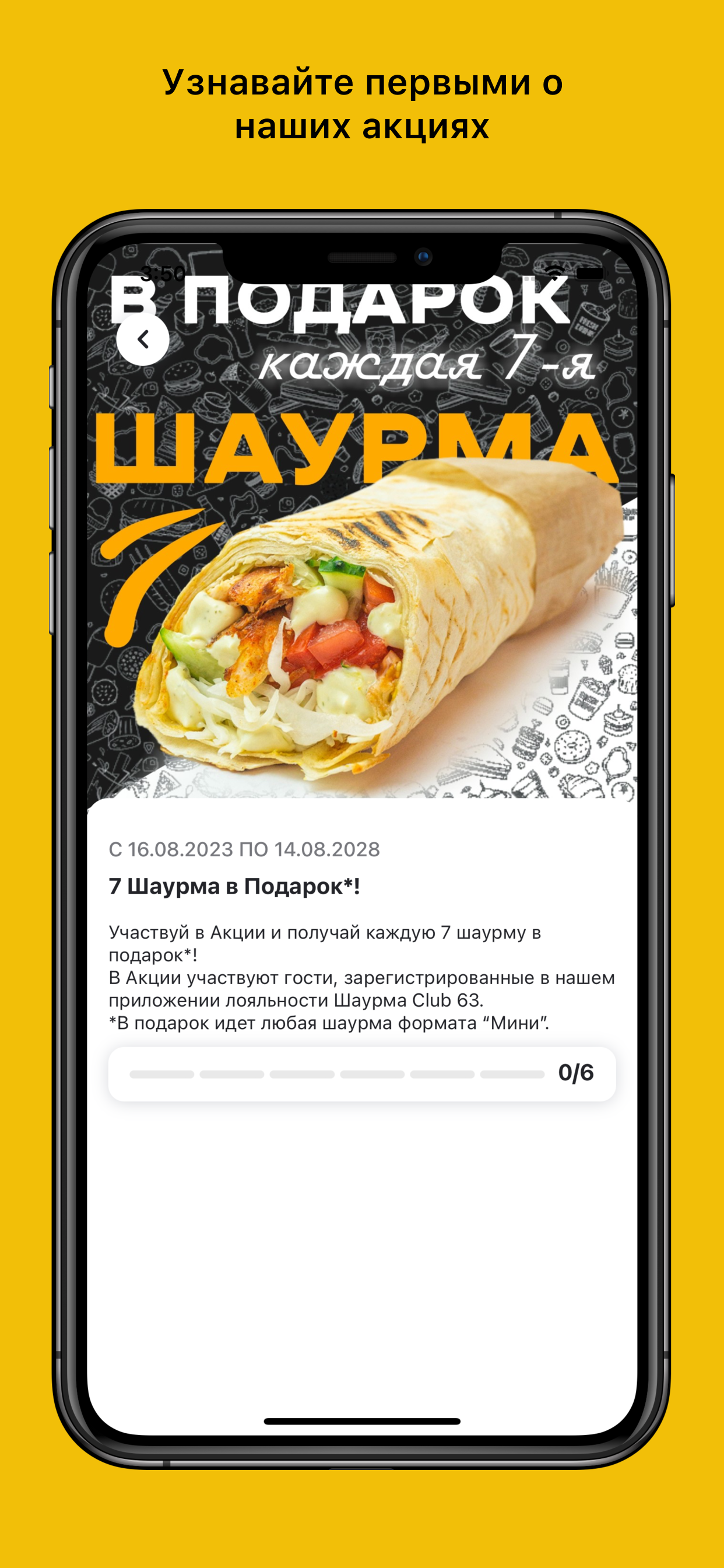 Шаурма Club63
