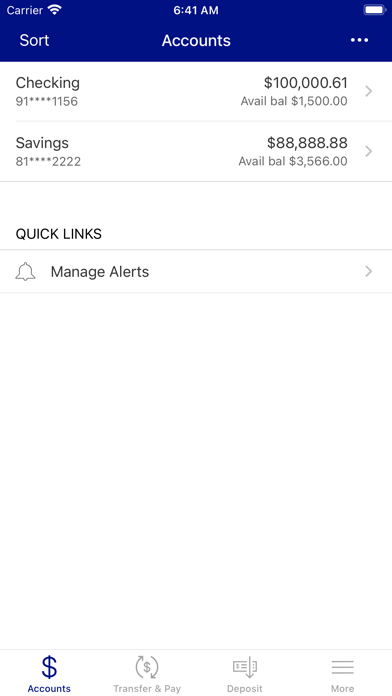 Falls City National Bank Screenshot
