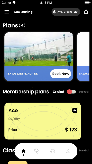 ACE Batting Screenshot