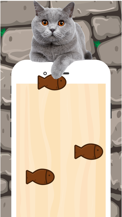 meow cat game : apps for cats Screenshot