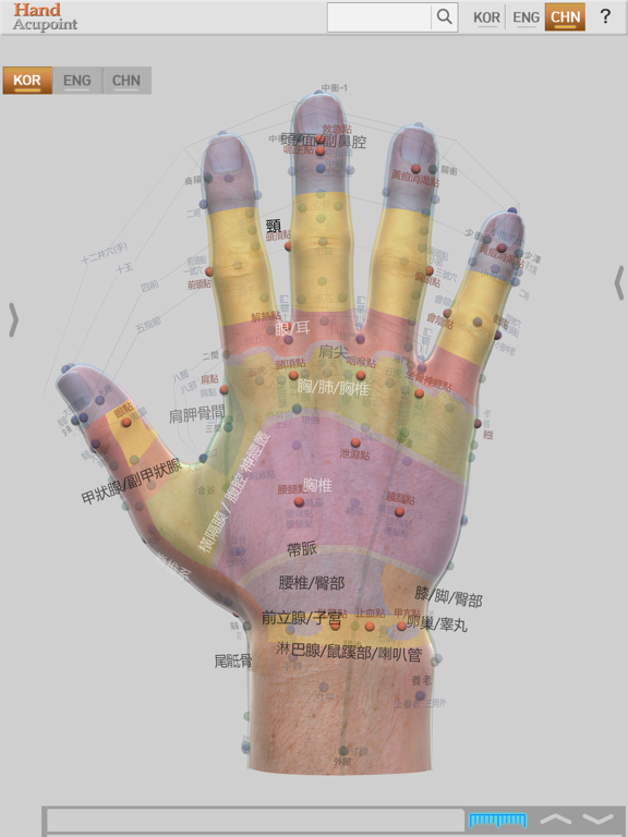 Screenshot #6 pour Hand Acupoints