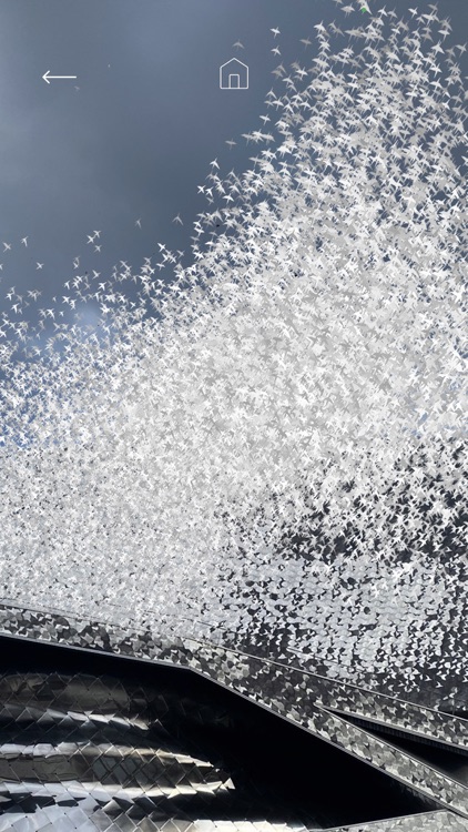 Les oiseaux de la Philharmonie screenshot-3