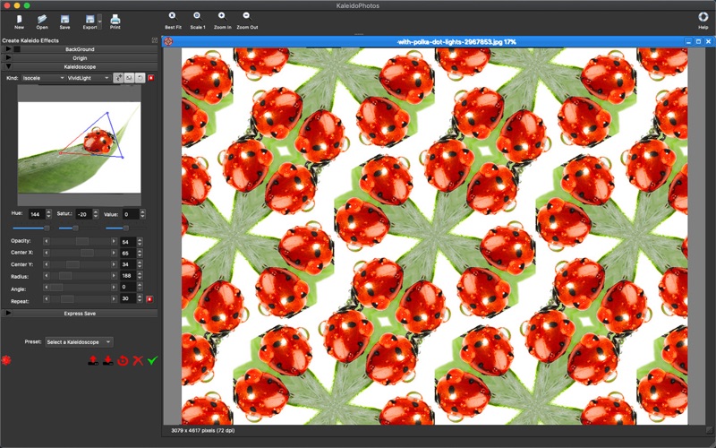 Screenshot #1 pour KaleidoPhotos