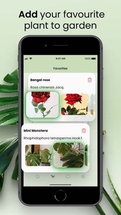 Plant Identifier ・ screenshot-4