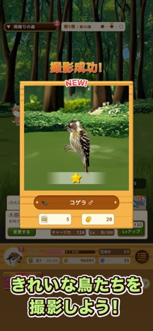 鳥クエスト - 鳥探しオートバトルRPGのおすすめ画像2