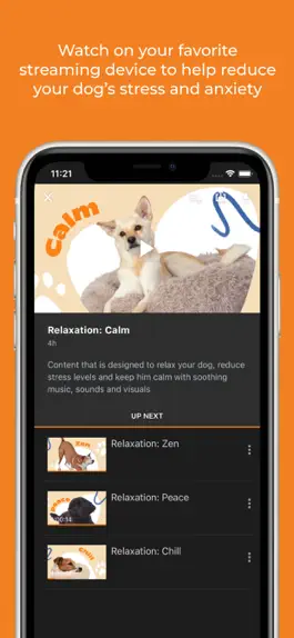 Game screenshot DOGTV hack