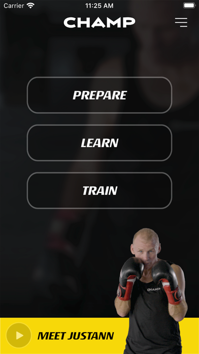 Champ Boxing Screenshot