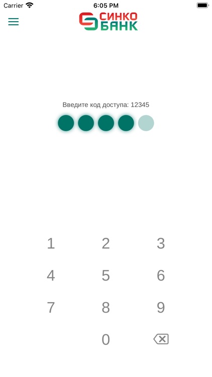 СИНКО-онлайн screenshot-3