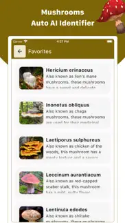 mushroom id : identifier, scan problems & solutions and troubleshooting guide - 1