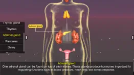endocrine system problems & solutions and troubleshooting guide - 4