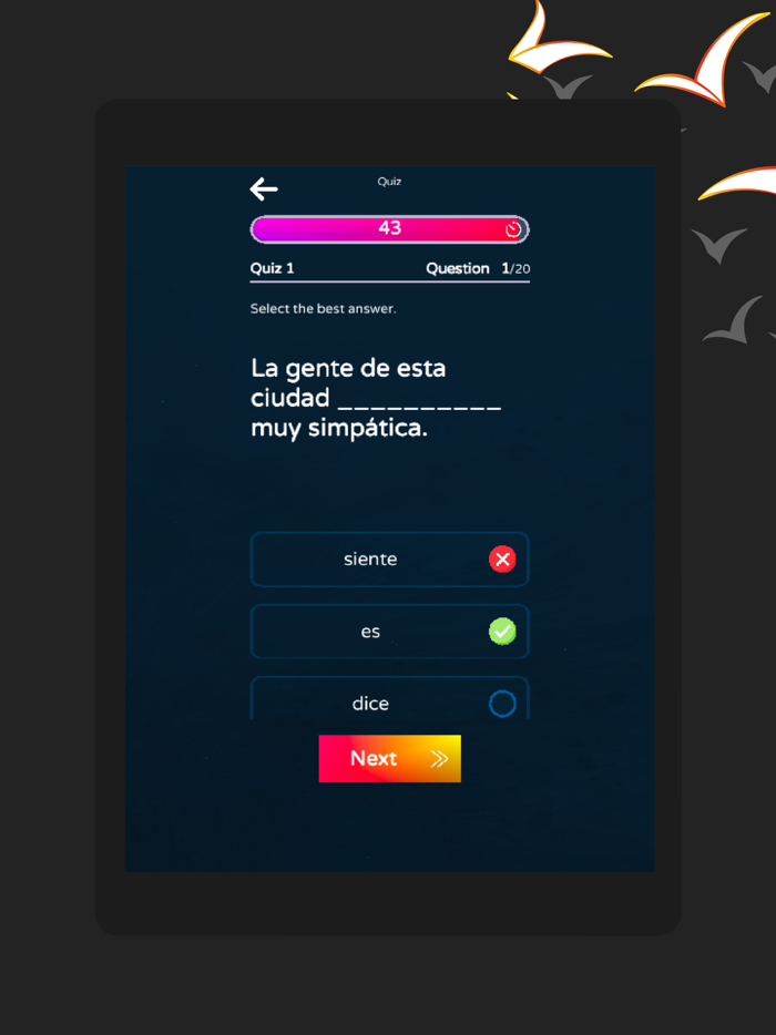 Spanish Test and Questionnaire
