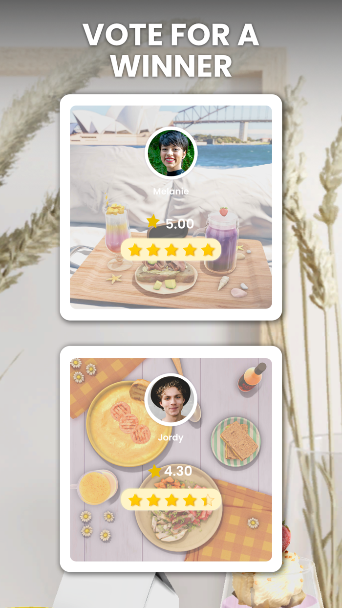 Food Stylist - Design Game