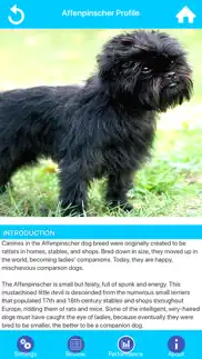 dog breeds guide & quiz iphone screenshot 2