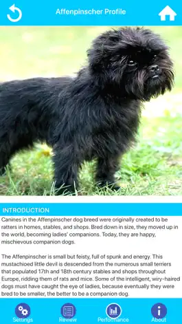 Game screenshot Dog Breeds Guide & Quiz apk