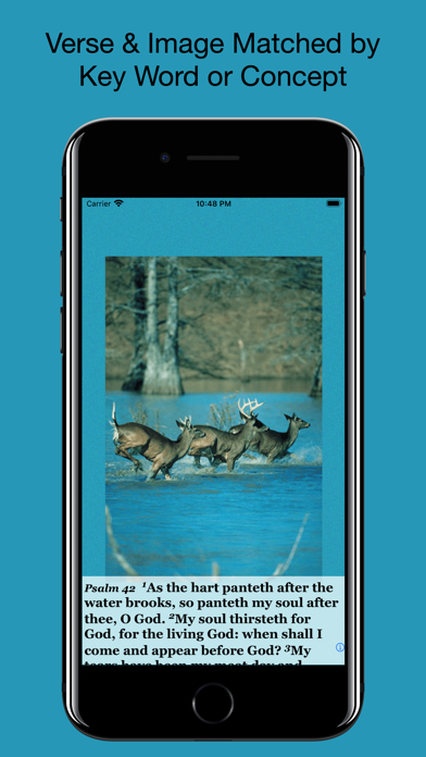 Psalm Daily Quotes KJV Screenshot
