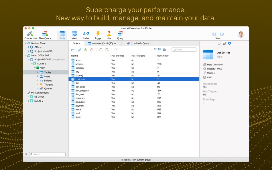 Navicat Ess 16 for SQLite - 16.3.7 - (macOS)