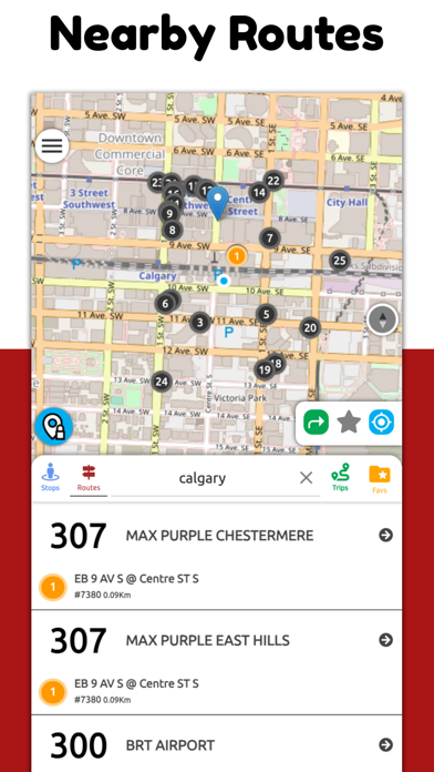 Calgary Transit RT Screenshot