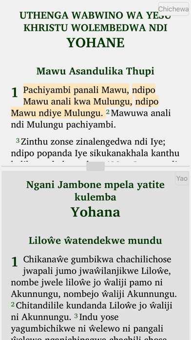 Screenshot #2 pour Chichewa Yao English Swahili
