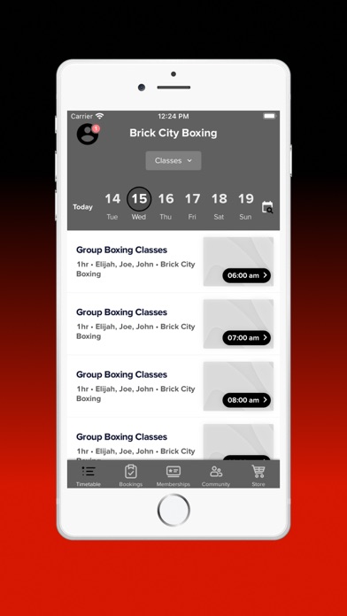 Brick City Boxing Screenshot