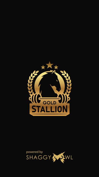 Gold Stallion