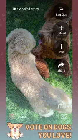 Game screenshot PrimeTime Dog Club hack