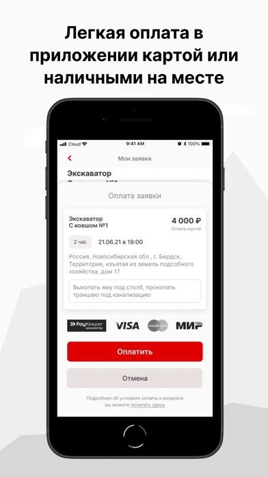 Sowork.Ru Screenshot