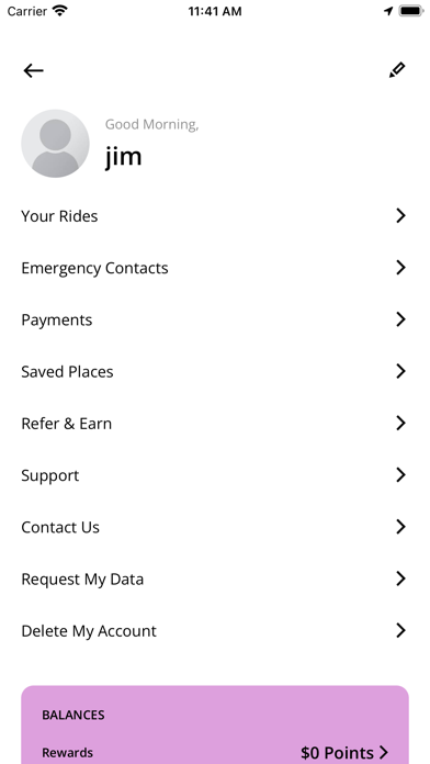 Street Cab Screenshot