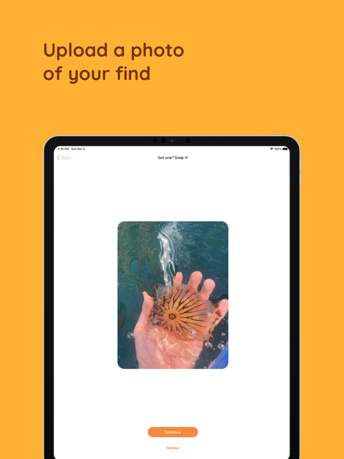 Jelly Spotter by GoJelly
