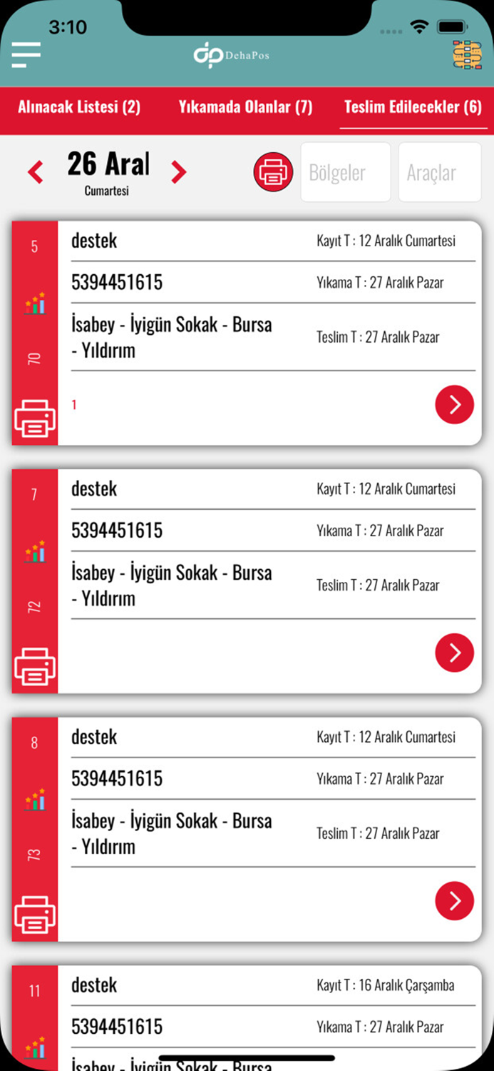 Dehapos Hali Yikama Programi