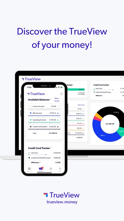 TrueView:Crazy Simple CashFlow screenshot-9