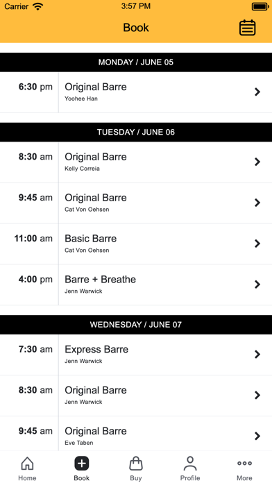 Greenwich Barre Studio Screenshot