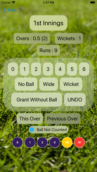 Scoreboard - Gully Cricket Screenshot