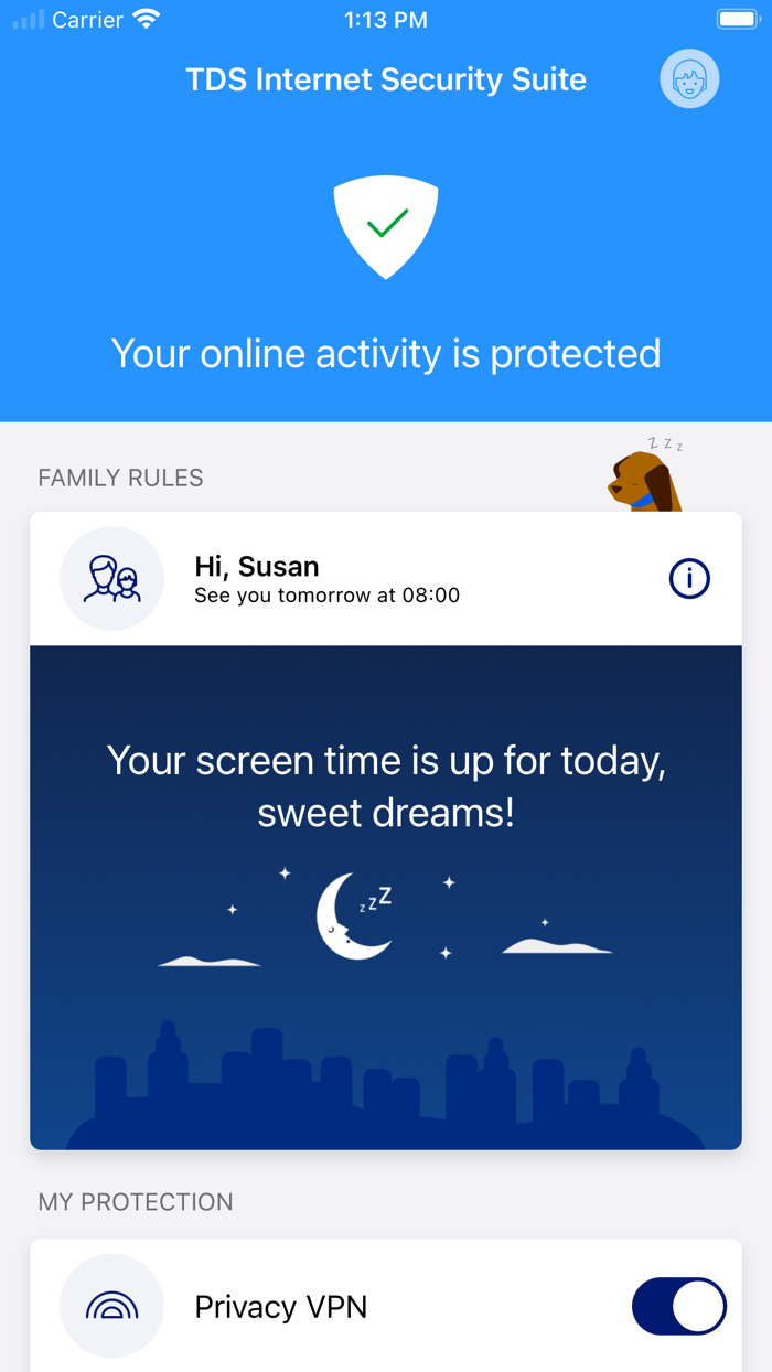 TDS Internet Security